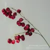 Nueva Linterna Artificial Fruta Flor Falsa Adornos de Pie para el Hogar Sala de Estar Linterna Decorativa de Piso Flor Flor de Linterna Decorativa Fila de Camino de Boda Fotografía