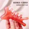 Peine multifuncional con puntos de acupresión, diseño pequeño en forma de delfín para masaje de cabeza, peine de salud para raspar y estimular puntos de acupuntura, herramienta de masaje para el cuero cabelludo y un dispositivo de belleza especial para mujeres