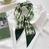Bufanda Larga Pequeña de Seda para Mujer Verano Cuello Elegante Moda Corbata Cinta para el Cabello Bolsa Diadema Combinación Camisa Cinturón de Cuello Cinturón
