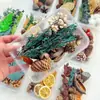 Paquete de Materiales Hechos a Mano para Bricolaje Flores Mixtas Plantas Flores Secas Piñas de Navidad Estilo Bosque para Jardín de Infancia Creación Ambiental Decoración