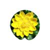 Flores de Loto Artificiales Transfronterizas, Hojas de Loto, Nenúfares para Ofrendas a Buda, Accesorios para Fotografía, Accesorios de Decoración para Acuarios y Estanques, Flores Artificiales