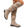 Botas Largas de Ante Estilo Europeo y Americano Caídas 2025 Invierno Nuevas Transfronterizas Talla Grande Felpa Tacón Bajo Hasta la Rodilla para Mujer