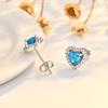 Pendientes de Corazón de las Doce Constelaciones Aguja de Plata de Ley S925 Joyería para Perforación de Oreja Aleación de Titanio en Stock Transfronterizo