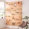 Accesorios para Marco de Escalada para Gatos con Tablero Perforado para Apartamentos Pequeños, Escalera de Escalada para Gatos que Ahorra Espacio, Casa para Gatos Montada en la Pared, Estante Integrado para Gatos