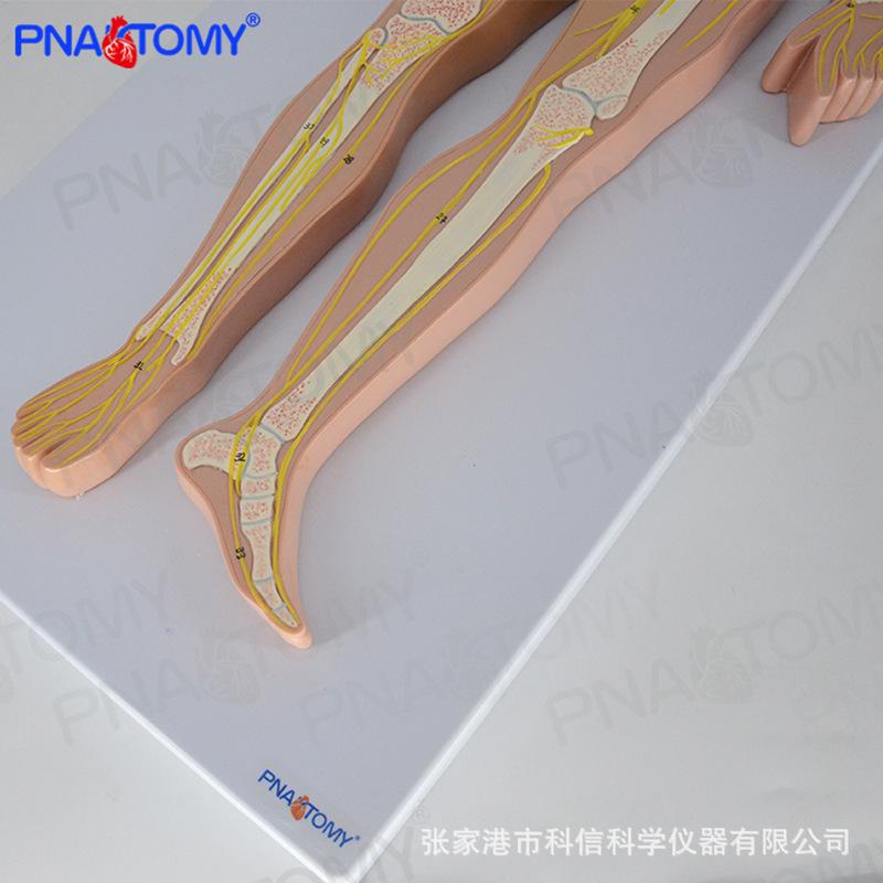 详情-7.jpg