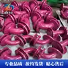 Tubos de Aço Revestidos de Plástico, Tubos de Ptfe e Conexões de Tubos Revestidos de Flúor Dn50 para Dutos Químicos Industriais e de Esgoto, Fornecidos por Fabricantes de Henan