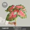 Decoración de Pared de Planta Artificial de Moda con Textura Realista de Hojas de Monstera, Suministro Transfronterizo de Hojas de Taro Artificiales de Colores