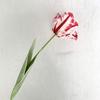 Buquê Simulado de Alta Qualidade com Tulipa Hidratante 3D Colada Cor Gradiente Flor Falsa Decoração de Interiores Arranjo de Flores Atacado