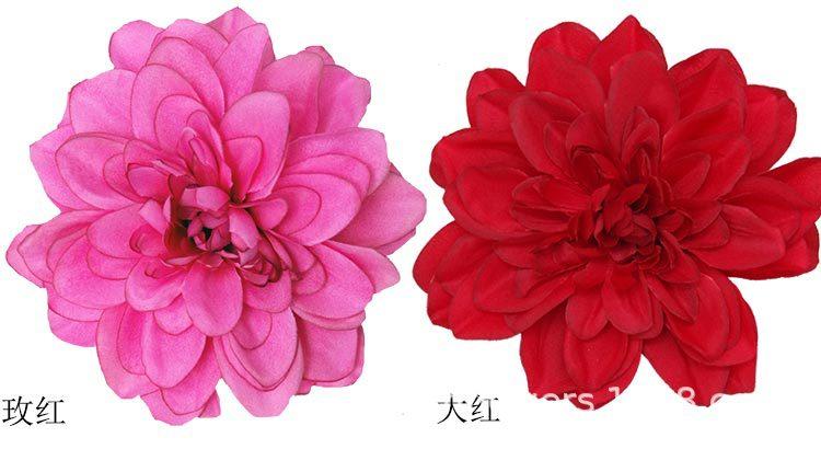 大丽菊花头_12.jpg