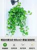 Dropshipping Planta de Hiedra en Maceta Enredadera Trepadora Planta Araña Planta Colgante Balcón de Invierno Interior Perenne Todo el Año Absorbe Formaldehído