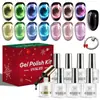 Set de 9 piezas de esmalte en gel ojo de gato vidrioso, esmalte de uñas negro, set de herramientas para nail art, nail art magnético, caja de regalo de Navidad, gel UV transfronterizo