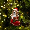 Nuevos Calcetines de Navidad 2023 Perro Árbol de Navidad Colgante Decoración Colgante Acrílico Plano Decoraciones para el Hogar Colgante