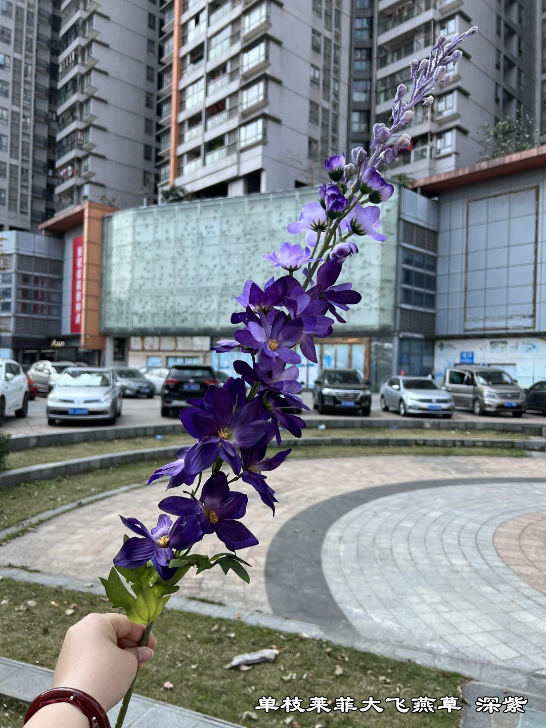 微信图片_20220304112447_副本.jpg