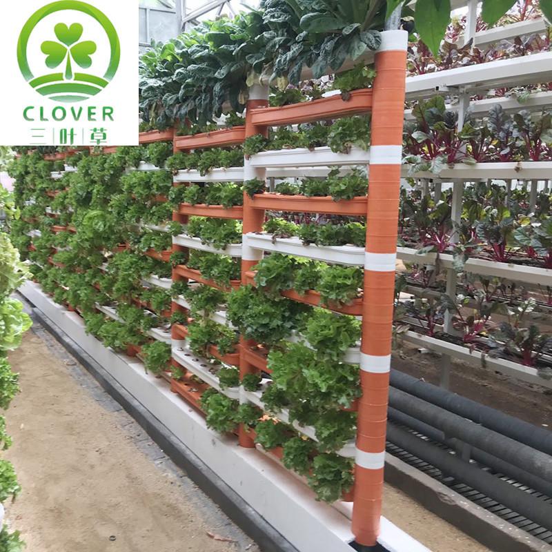 微信图片_20200829091828