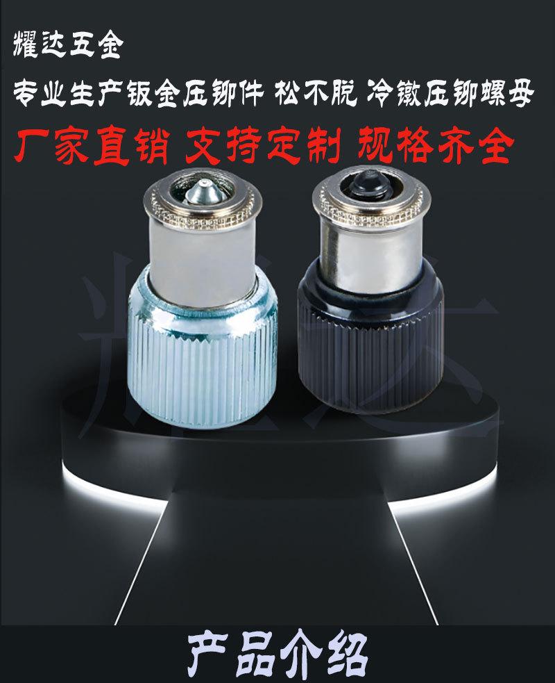 弹簧螺钉_01.jpg