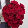 Plántulas de Flor de Rosa Roja Glory de una Pieza Envío Directo Rosas Florecientes Todo el Año Florales en Maceta Plantas Trepadoras Plántulas Plantas Verdes