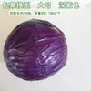 Modelo de Verdura Simulada Lechuga Falsa Repollo Brócoli Hojas Verdes Hojas de Shanghái Modelo de Gabinete Decoración para Casa