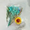 Kit de Materiales de Flores Secas DIY Flor Eterna, Flores Flotantes Perfumadas, Materiales de Flores para Actividad Padres e Hijos, Venta al por Mayor Fabricante de Yunnan, Día de la Madre