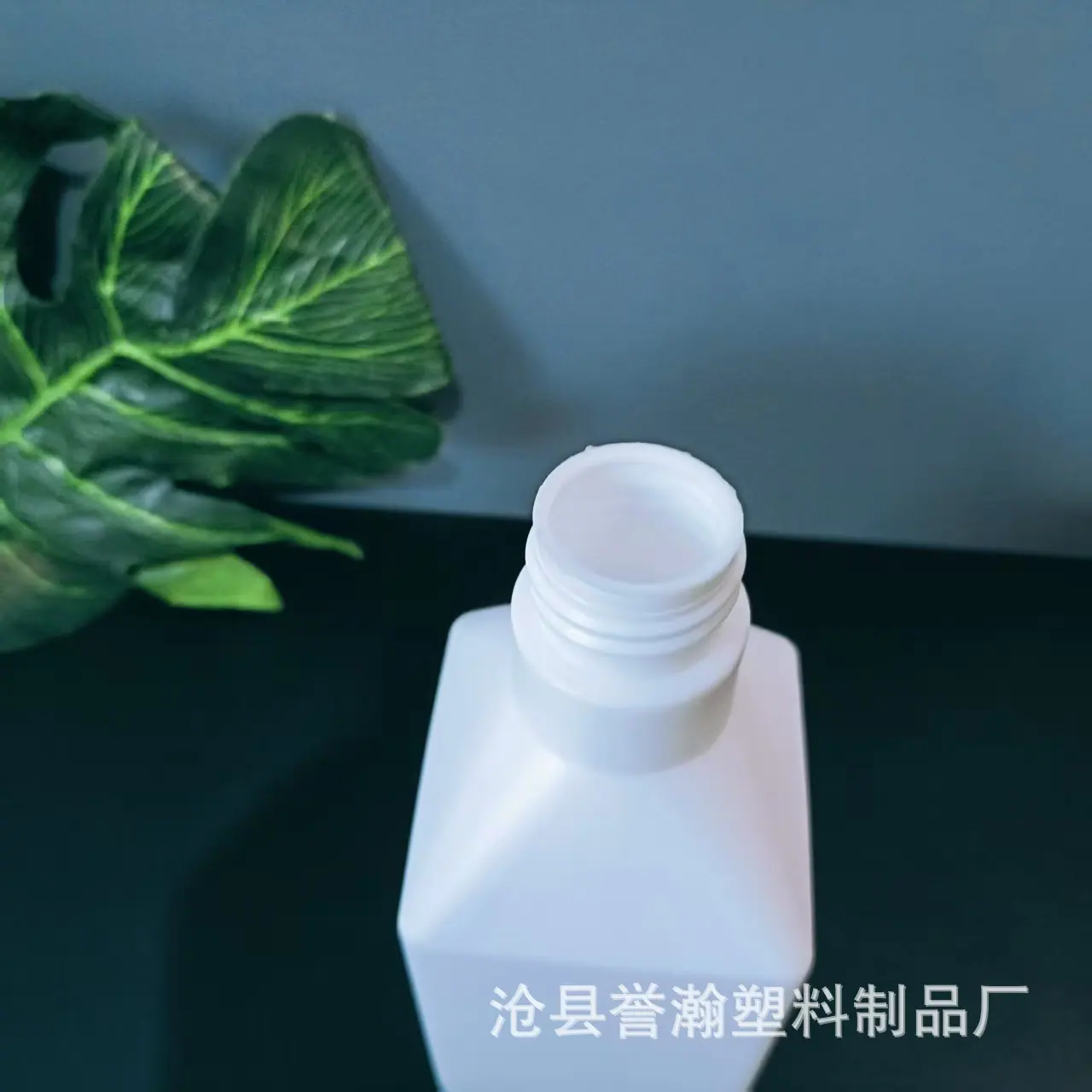 微信图片_20250408185147