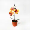 Mini Arranjo de Orquídea Phalaenopsis de 3 Peças Outonal Planta em Vaso Internacional Adereço para Fotografia de Casamento Arranjo de Flores Artificiais com Sensação de Filme