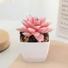 Mo Chu ventilador de simulación cuadrado flocado carnoso traje pequeño al por mayor decoración del hogar exhibición Amazon más vendidos plantas en maceta