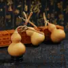 Atacado de Fábrica Plantio Natural Cabacinho Torcido à Mão Fonte Wenwan Brinquedo de Brincar Cabo com Cabeça de Dragão Cabacinho