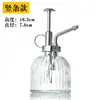 Kettle pulverizador creativo de presión manual rociador de riego de vidrio color vidrio transparente rociador de calabaza venta al por mayor y al por menor