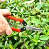 Tijeras de Acero Inoxidable para Recolección de Uva, Tijeras para Injertar Árboles Frutales de Jardín, Tijeras de Poda de Punta Multifuncionales, Tijeras para Arreglos Florales