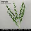 Decoración de Flores Artificiales Verdes Material de Flores de Hoja de Manzana Flor Exterior Planta Verde Hermoso Arreglo Chen Simulación de Hoja de Tortuga Arte Floral para Boda