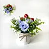 Artículos Populares Transfronterizos: Adornos de Planta en Maceta Pequeña de Cuerda de Cáñamo con Fruta Rojo Rosa, Decoración de Jardín y Patio, Decoraciones de Bonsái con Flores Artificiales y Plantas Verdes