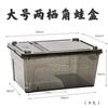 Caja de Alimentación para Mascotas Trepadoras Caja Anfibios Tanque para Tortugas Pequeñas Palacio Caja para Rana Cornuda Shougong con Cesta Caja de Plástico para Tortugas Caja de Alimentación para Rana Cornuda