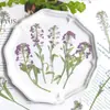 Bolsa de Flores Secas Embossadas Xiangxueqiu Capa de Celular Artesanal com Cola de Gotejamento Porta-Retrato Luminária de Mesa Vela de Flor Baffle de Parede Decorativo Material