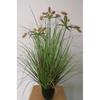 Simulação Reed Artificial Reed Grass Atacado Planta Falsa Shopping Decoração para Casa Cebola Dog Tail Grass Simulação Planta Verde