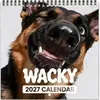 Calendário de Mesa Cachorro Cabeçudo Engraçado 2027, Calendário Espiral Divertido de Animal de Estimação Fofo, Fornecimento Atacadista com Logo Cruzado Amazon Temu