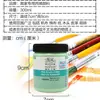 Pintura Acrílica Winsor & Newton 300ml Color Dorado Fluorescente Específico para Artistas Pared Pintada a Mano Graffiti Set Impermeable
