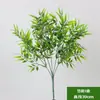 Planta verde de folha grande planta verde bonsai tiro samambaias Mori folhas eucalipto bonsai sala de estar Pátio