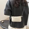 Bolso de Moda Trendy para Mujer 2025 Primavera Nuevo Bolso de Hombro Trendy de Moda Bolso Mensajero Casual Simple Bolso Cuadrado Pequeño
