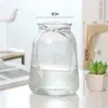 Jarrón de cristal en forma de cono, estilo ins nórdico, jarrón transparente grande y simple para bambú hidropónico, decoración de arreglo floral de escritorio y sala de estar