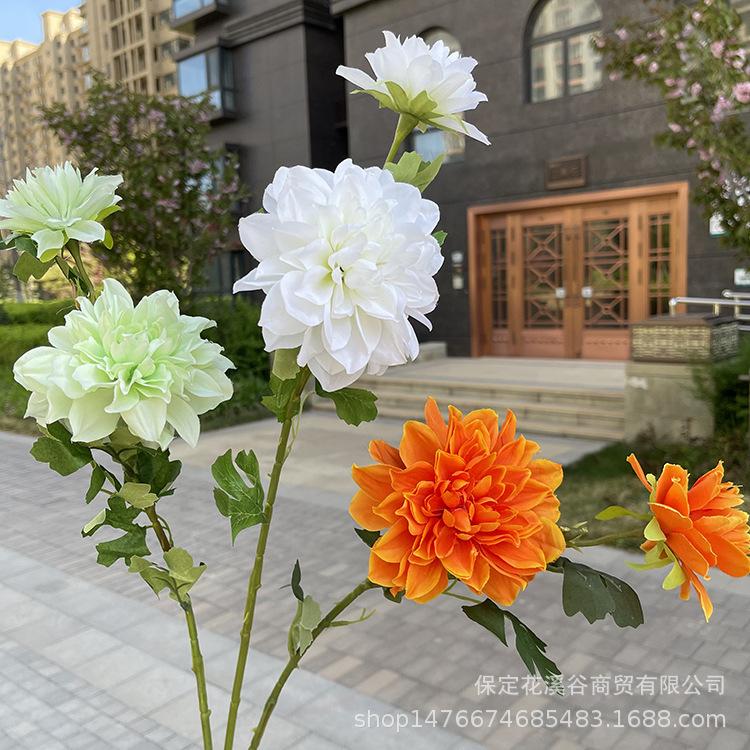 主图 林溪郡.JPG