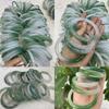 Afastamento do Contraponto Pulseira de Calcedônia Meia Água Vivo Pulseira de Ágata Violeta Pulseira de Jade Macaron Degradê