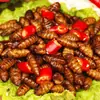 Crispy Larvas de Bicho-da-Seda Prontas para Comer Após Abrir Fritas com Cinco Especiarias Pequenas Larvas de Bicho-da-Seda Lanche Picante para Beber Especialidade de Shandong Lanche Alimentício Cozido Uso Comercial