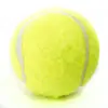 Loja de Fábrica-63mm Alta Elasticidade (Bola Grau A) Brinquedo para Pet Bola para Treinamento e Arremesso Reutilizável