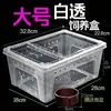 Caja Profesional para Cría de Reptiles, Caja para Reptiles, Caja para Árbol Grande, Mediana y Pequeña, Caja Cuadrada Pequeña, Doble Apertura para Arañas, Anti-Escapista