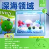 Botella de Ecosistema de Paisaje Micro Marimo Bola de Musgo, Divertida en Interiores