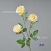 Simulação de 3 Pearl Rose Single Branch Grande Horticultura Paisagismo Modelagem Net Red Rose Wall Flower Home Decoration