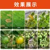 Ping'An Yuwei 80% Mancozeb Zinco Manganês Fungicida Protetor de Amplo Espectro para Doenças Foliares de Mudas e Flores, Doença do Mancha Negra