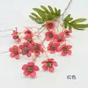 Flores Artificiales para Decoración de Escena de Boda, 15 Flores Artificiales de Flor de Ciruelo Pequeñas de Tallo Único, Flores Falsas de Margarita Mini