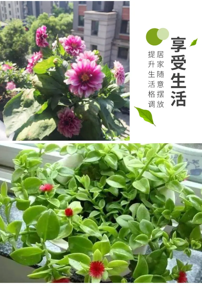 详情_05
