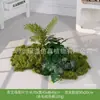 [Serie Huair de Tres Caracteres] Musgo Artificial Simulado Bonsái Planta Verde Decoración Arreglo Exhibición de Ventana Bonsái
