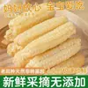 Maíz Dedo Xishuangbanna Yunnan Desayuno Instantáneo Sustituto de Comida Maíz Dedo Mini Fresco Dulce Fragante Dai